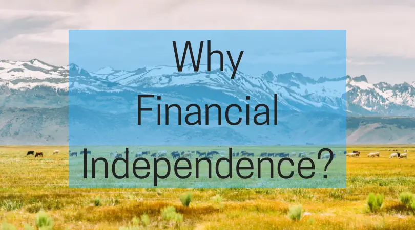 Why Financial Independence? Financial advisor