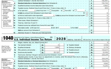 1040 for Long-Term Care insurance