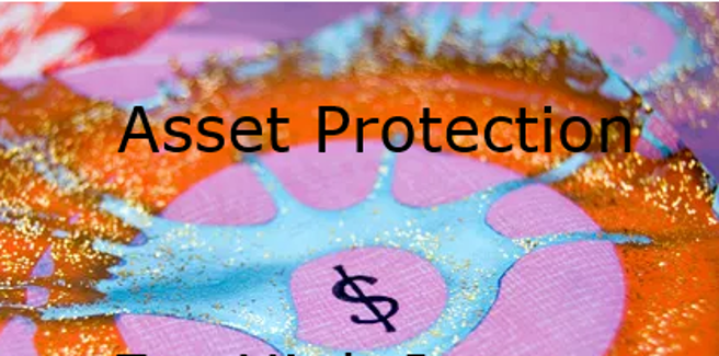 Asset Safeguard Strategies
