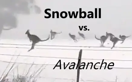 snowball vs avalanche