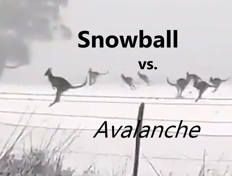 snowball vs avalanche