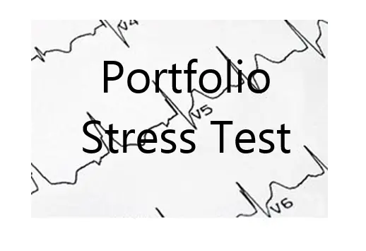 portfolio stress testing excel