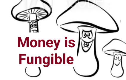 money is fungible