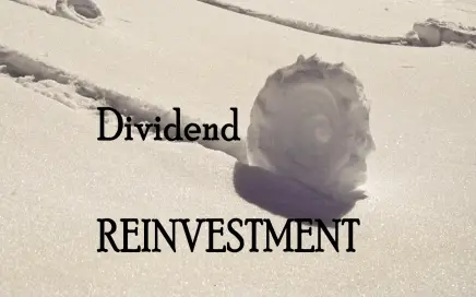 Reinvesting Dividends