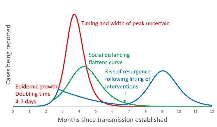 Model showing potential downside of excessive flattening of the curve