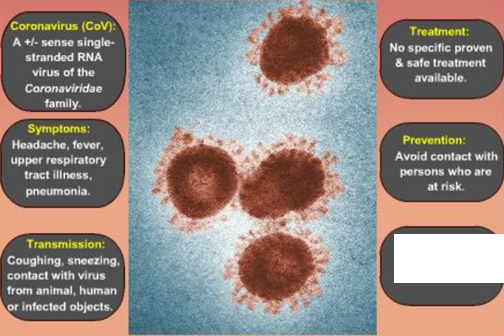 What to do about COVID-19 this week