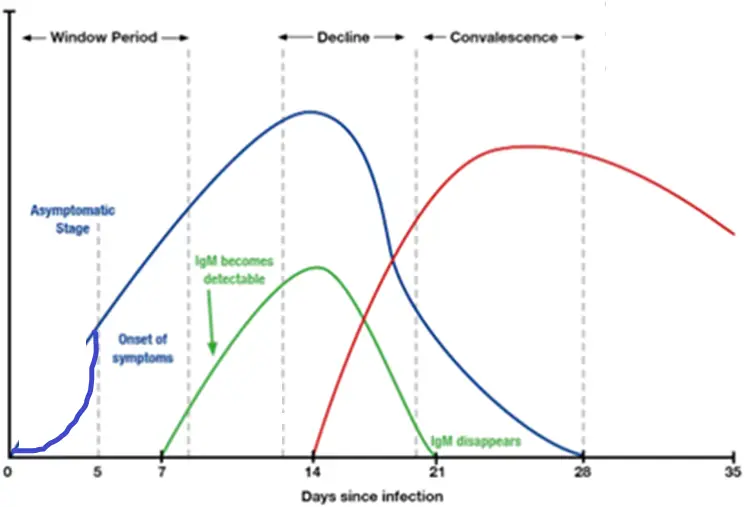 Immune Response and immunity certificates