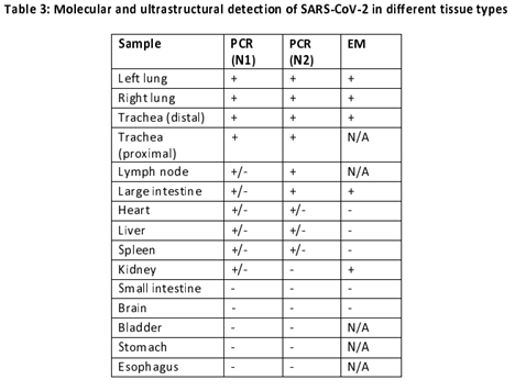 Findings from PCR and Electron Microscopy of different tissues