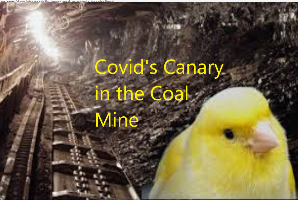 Covid's canary in the coal mine