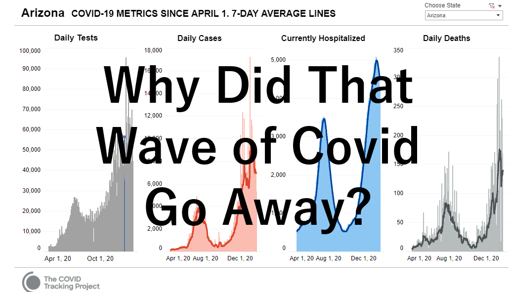 why did that wave of covid go away?