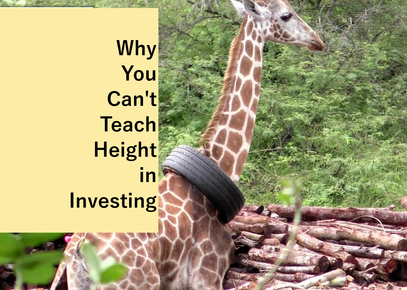 50/40/10 investing