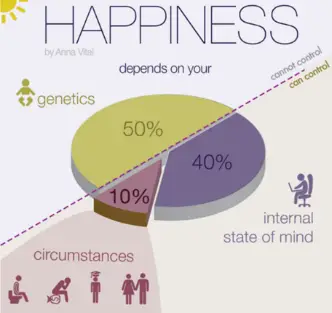 Physician Investor: How to be an Excellent DIY Investor 5 Meet the 50/40/10 rule as described in the happiness literature