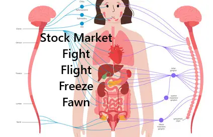 Fight, Flight, Freeze, Fawn, and the Stock Market