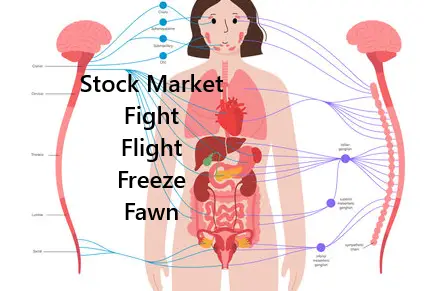 Fight, Flight, Freeze, Fawn, and the Stock Market