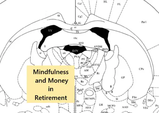 Mindfulness and Money in Retirement