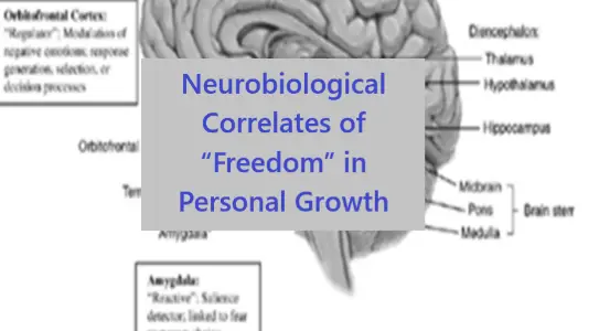 Neurobiological Correlates of “Freedom”