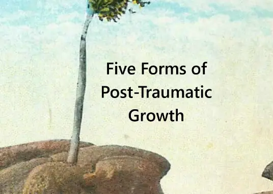 Five Forms of Post-traumatic Growth