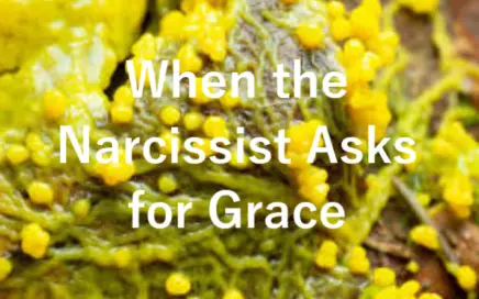 When the Narcissist Asks for Grace