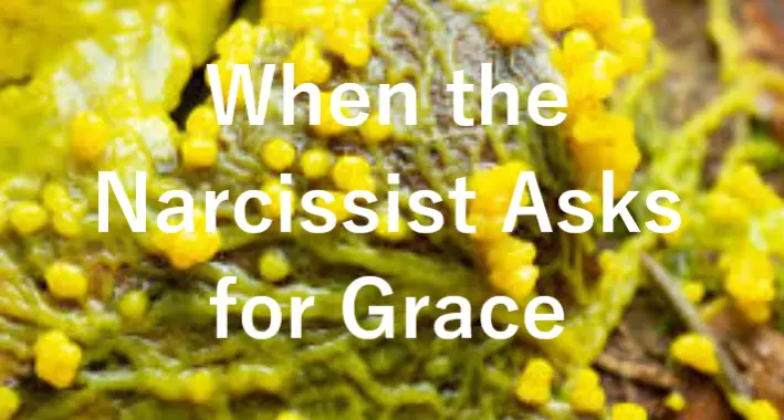 When the Narcissist Asks for Grace