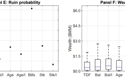 lifecycle investing