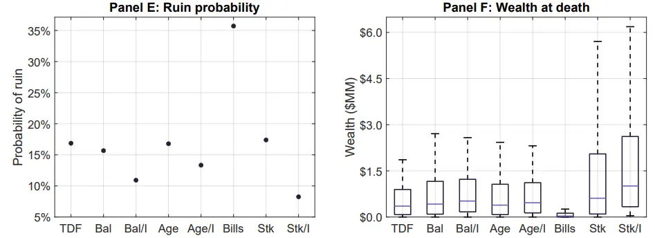 lifecycle investing