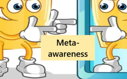 Metacognition vs Meta-awareness