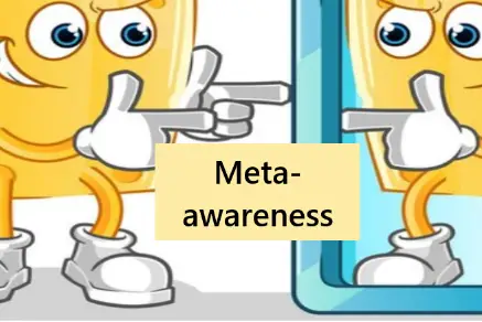 Metacognition vs Meta-awareness