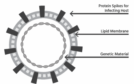 From Killer to Common Cold